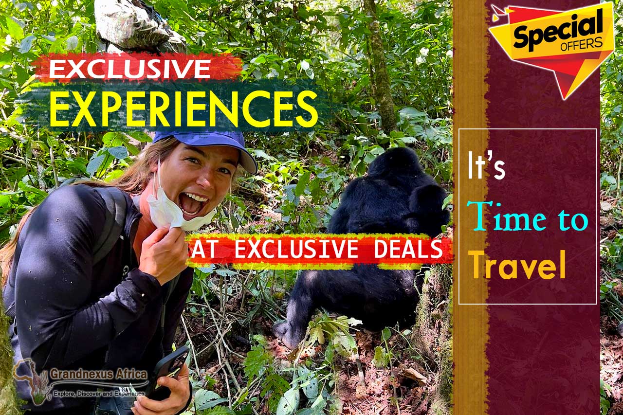 special-offers-on-african-safaris